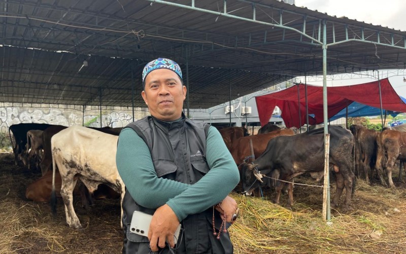 H 1 Lebaran Idul Adha Intip Harga Sapi Pegon Hingga Limosin