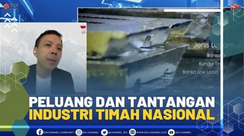 Peluang Dan Tantangan Industri Timah Nasional