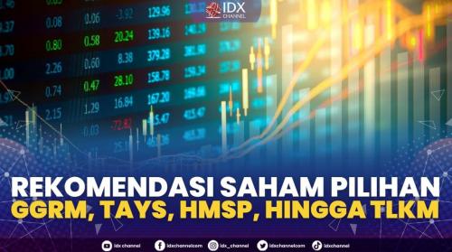 Rekomendasi Saham Pilihan GGRM TAYS HMSP Hingga TLKM