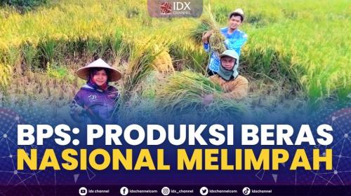 BPS Produksi Beras Nasional Melimpah