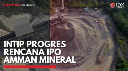 Intip Progres Rencana Ipo Amman Mineral