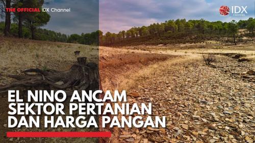 El Nino Ancam Sektor Pertanian Dan Harga Pangan