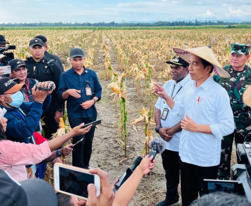 Jokowi Sebut Indonesia Terbuka Untuk Kerja Sama Hilirisasi Dengan Papua