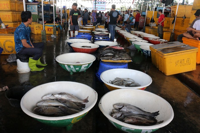 Jelang Malam Tahun Baru Pasar Ikan Muara Angke Dipadati Pengunjung