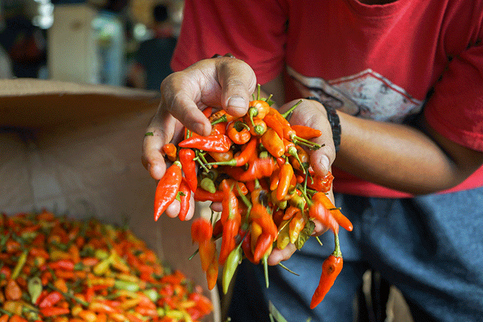 Harga Cabai Rawit Merah Naik Lagi