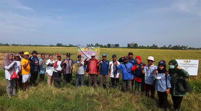 Petani Deli Serdang Akui Teknologi CSA Kementan Mampu Tingkatkan