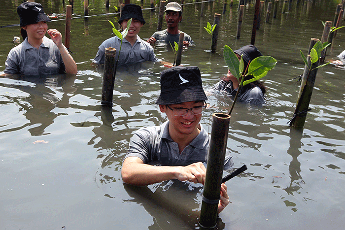 Sambut Hari Pohon Cathay Pacific Gelar Penanaman Pohon Mangrove