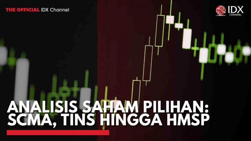 Data Harga Grafik Analisis Dan Performa Saham Surya Citra Media Tbk