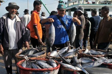 KKP Klaim Indonesia Jadi Salah Satu Negara Produsen Ikan Tuna Terbesar di Dunia
