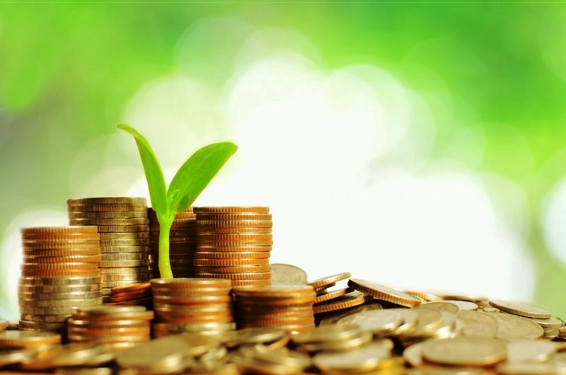 Kinerja Pasar Modal Syariah Topang Kontribusi Sukuk Negara. (Foto: Ist)
