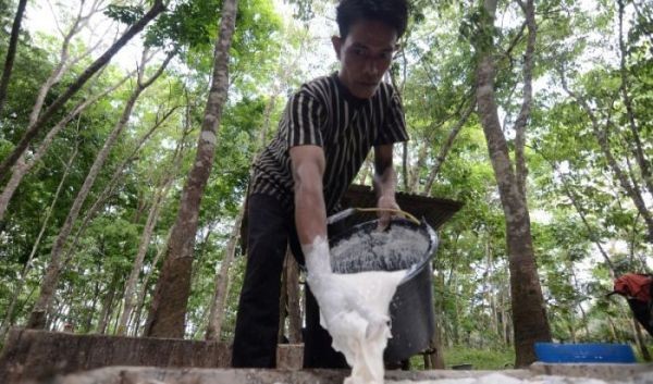 Dorong Hilirisasi Karet di Jambi, Kemenperin Kolaborasi dengan Pemda dan BI. (Foto: MNC Media)