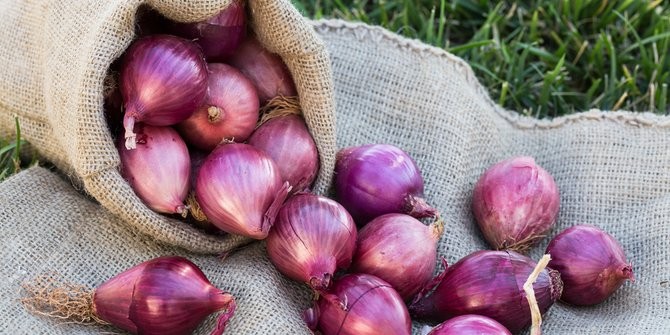 Duh! Harga Bawang Merah di Pasar Slipi Naik Rp55-60 Ribu