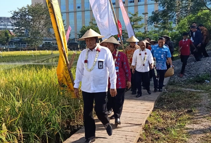 On Farm Bulog Target Beras Premium untuk Rakyat. (Foto: Syukri Rahmatullah)