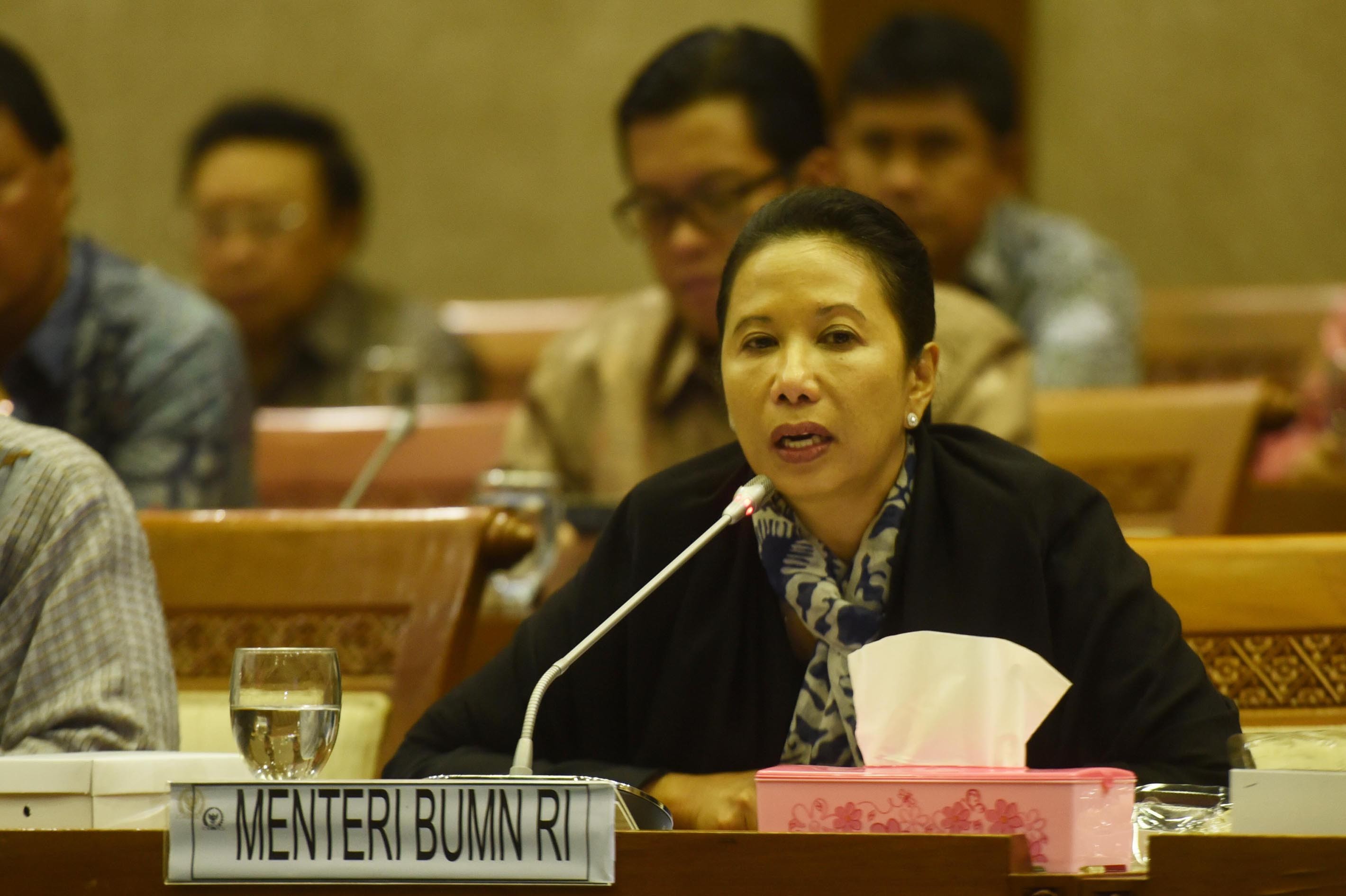 Menteri Rini Minta BUMN Gelar RUPSLB, Rombak Direksi Lagi? (Foto: Ist)