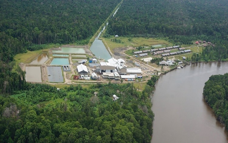 Pendapatan Austindo Nusantara Turun Jadi USD92 Juta Per September 2019. (Foto: Ist)
