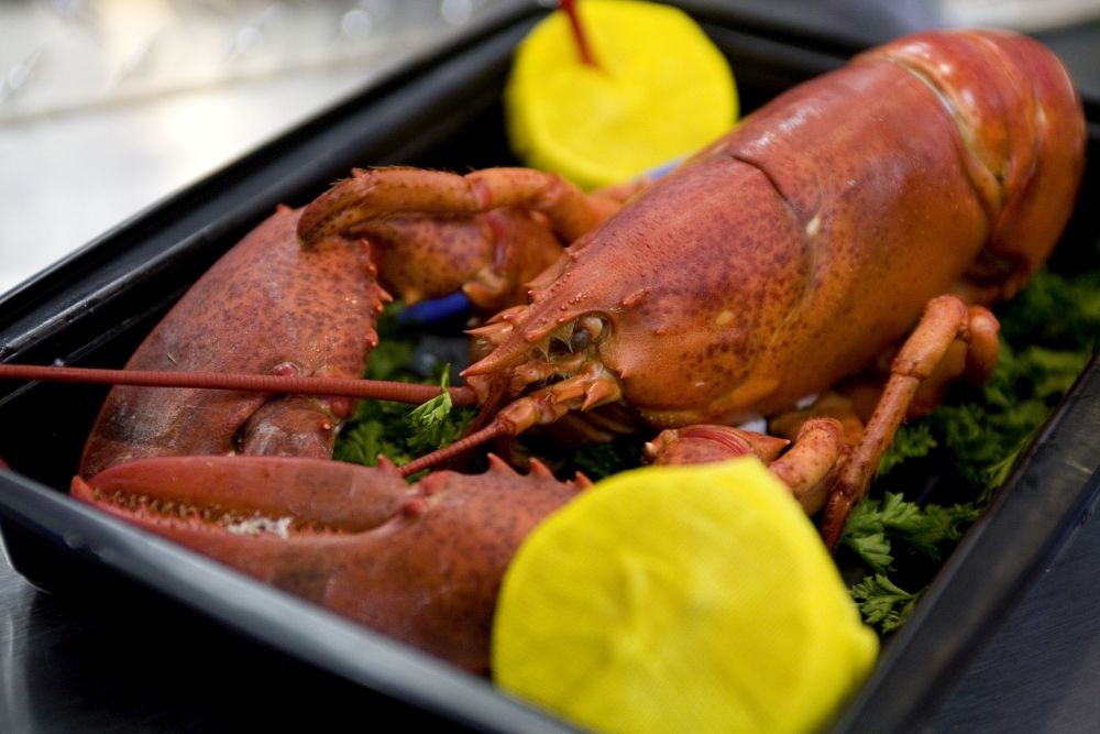 Pantai Lampon di Banyuwangi Simpan Potensi Budidaya Lobster. (Foto: MNC Media)
