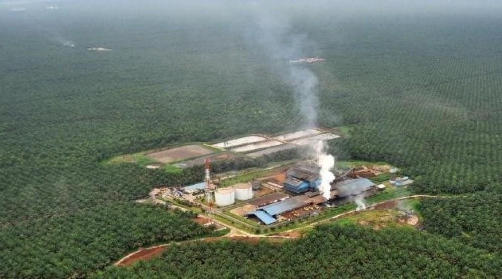 Sampoerna Agro (SGRO) Kantongi Laba Rp209,10 Miliar di Kuartal I-2021. (Foto: MNC Media)