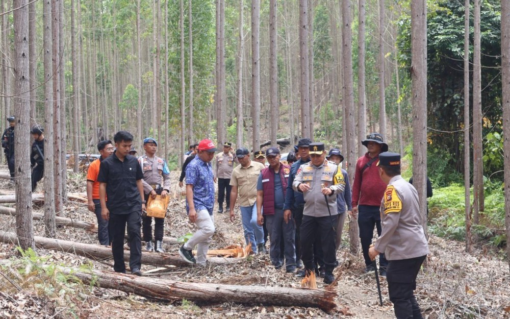 Polisi usut kasus kematian gajah