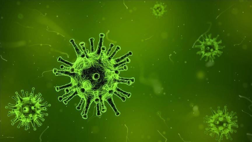 WHO Sebut Varian Omicron Berpotensi Tingkatkan Infeksi Secara Global (FOTO:MNC Media)