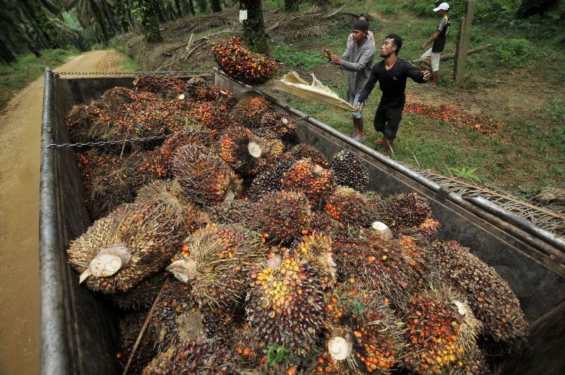 Kinerja Turun, Mahkota Group Cetak Pendapatan Hanya Rp1,95 Triliun di 2019. (Foto: Ist)