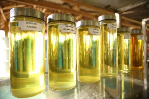 Cek HIP Bahan Bakar Nabati Jenis Biodiesel untuk Juli 2020. (Foto: Ist)