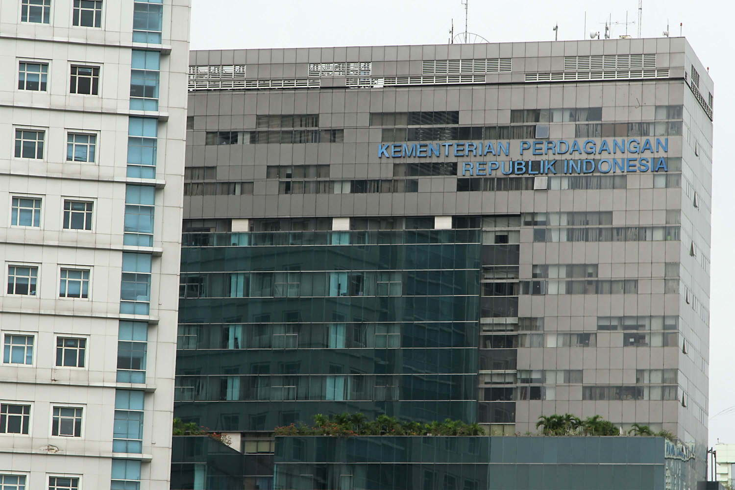 Garap Pasar Amerika Latin, Pemerintah Luncurkan Platform Digital Forum Bisnis INA-LAC. (Foto: Ist)
