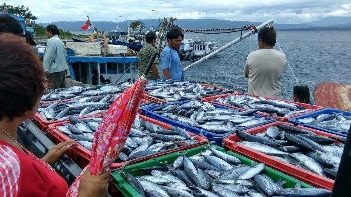 Indonesia Jajaki Ekspor Ikan ke Filipina Selatan. (Foto: MNC Media)