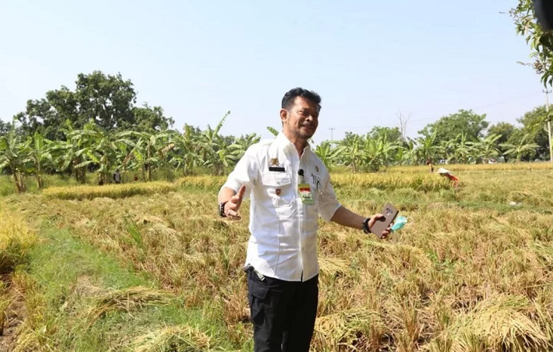 Mentan: Tak Perlu Ragu Hadapi Tantangan Apapun karena Ada Pertanian. (Foto: MNC Media)