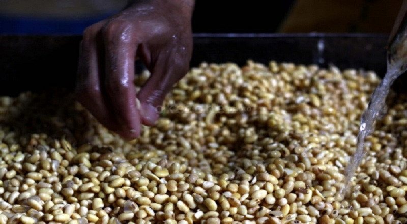 Harga Kedelai Mahal, Gakoptindo: Mekanisme Kerjasamanya Kurang Greget (FOTO:MNC Media)