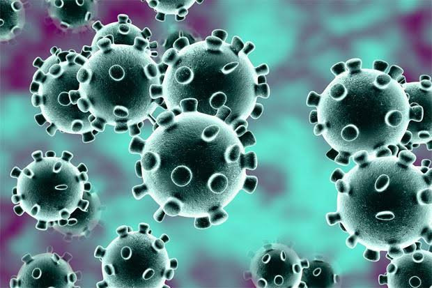 Vaksin Bagi Lansia, Epidemiologi: Interval Penyuntikan 28 Hari  (FOTO: MNC Media)