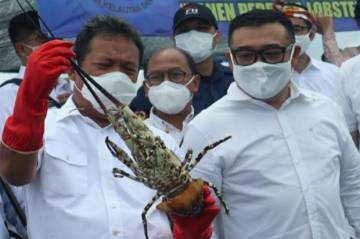 Lobster RI, Dibeli Murah Singapura Dijual Mahal ke Vietnam (FOTO: MNC Media)