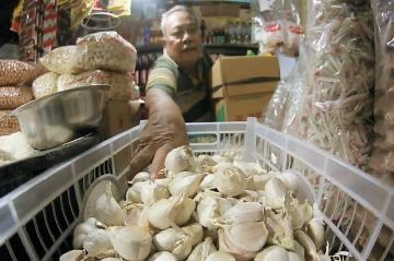 Kementan Pastikan Stok Bawang Putih Aman Hingga Lebaran (FOTO: MNC Media)