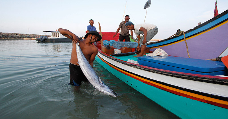 Hari Nelayan Nasional, Airlangga: Semoga Kekayaan Laut RI Jadi Berkah Bagi Rakyat (Dok.MNC)