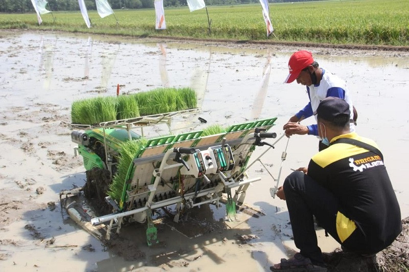 Ekspor Pertanian Naik 14,05 Persen, Jokowi: Utamakan Kebutuhan Dalam Negeri. (Foto: MNC Media)