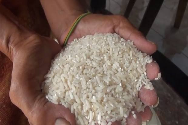 Polemik Impor Beras Indonesia, Netizen: Basmi Mafia Beras! (FOTO:MNC Media)
