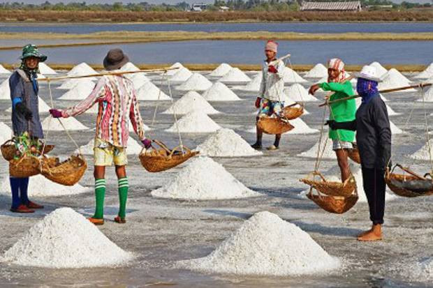 Pemerintah Mau Impor Garam, Petani Menjerit (FOTO: MNC Media)