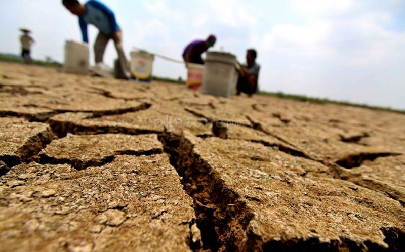 Akibat Perubahan Iklim, Indonesia Berpotensi Rugi Rp544 Triliun Hingga 2024 (foto: MNC Media)