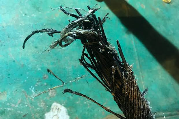 Kabel Laut Biak-Jayapura Terputus, Menkominfo: Faktor Alam. (Foto: MNC Media)