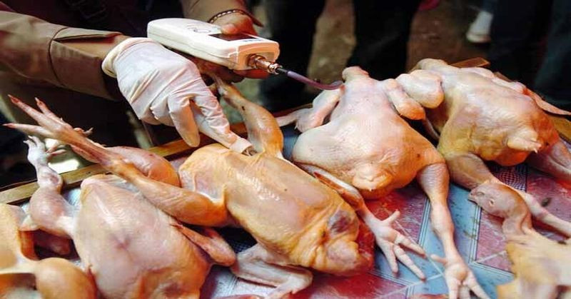 Harga Ayam Potong Mahal, Pedagang Pasar di Cianjur Mogok Jualan. (Foto: MNC Media)