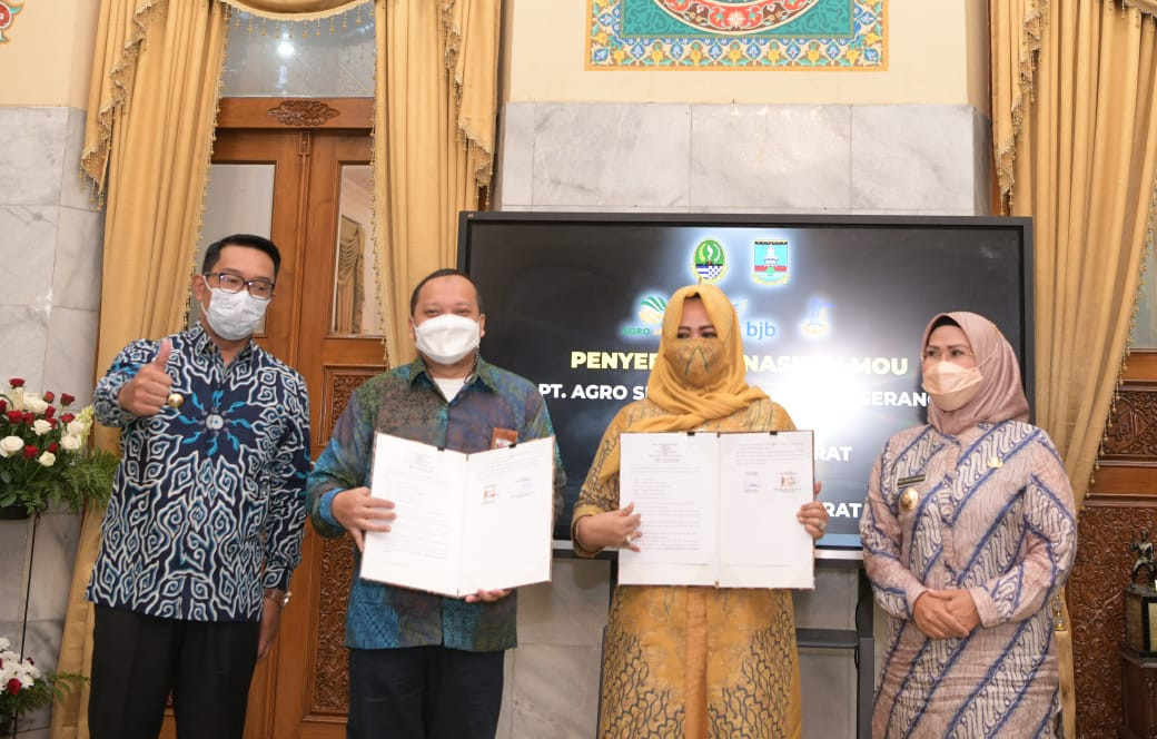 Ridwan Kamil: Jabar-Serang Jajaki Kerja Sama di Sektor Pertanian. (Foto: MNC Media)
