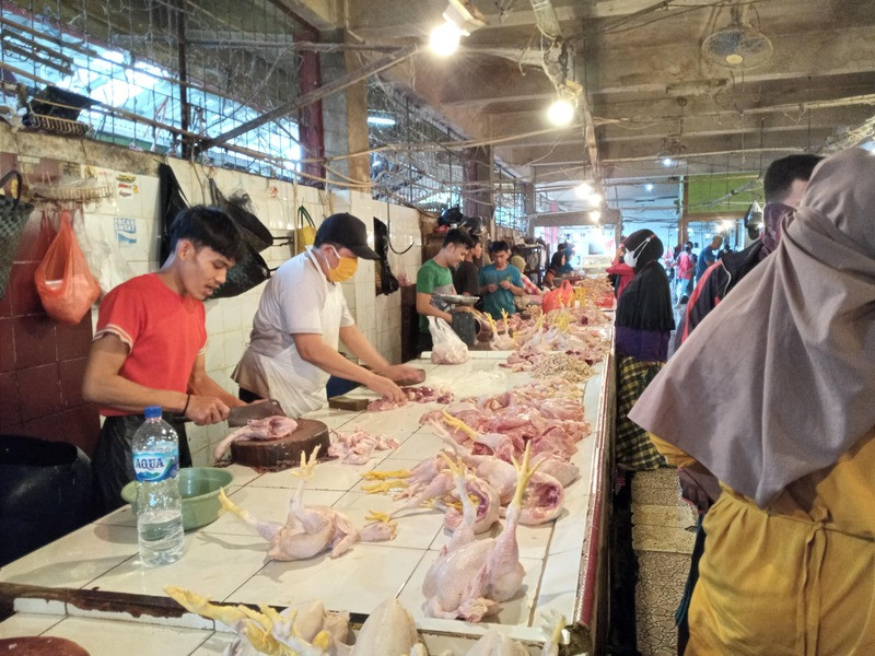Harga Daging Ayam Melejit, Pedagang Pilih Kurangi Stok 