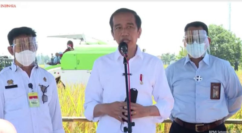 Jokowi Tak Impor Beras Kalau Produksi Tahun Ini Bagus (FOTO: MNC Media)