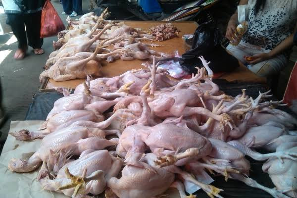 H-6 Lebaran, Pasokan Daging Ayam di Bangka Tengah Mulai Langka (FOTO:MNC Media)