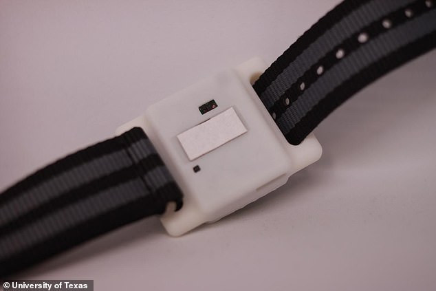 Peneliti di AS Kembangkan Smartwatch Deteksi Covid Lewat Keringat (FOTO: Dailymail))