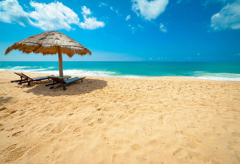 Ubur-Ubur Blue Bottle Muncul di Pantai Sanur, Ini Efek Sengatannya. (Foto: MNC Media)