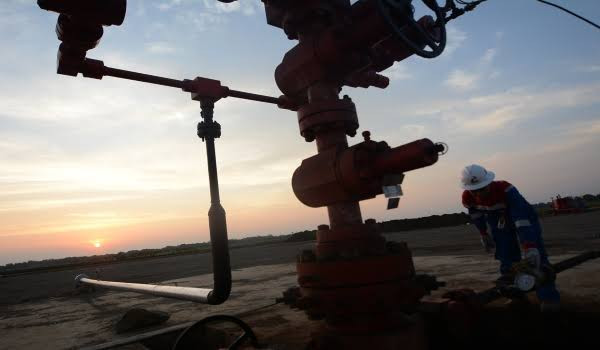 Ngebor Laut Mahakam, Apexindo (APEX) Raih Kontrak Rp1,22 Triliun dari Pertamina (FOTO:MNC Media)