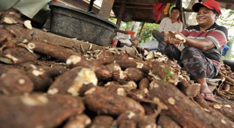  Yang Penting Petani Untung. (Foto Istimewa)