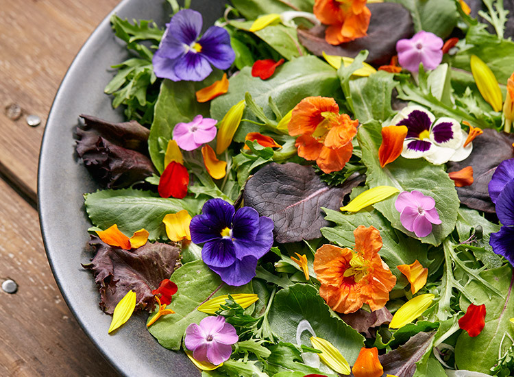 Bisa Kantongi Omset Puluhan Juta, Intip Cantiknya Bisnis Budidaya Edible Flower. (Foto: MNC media)
