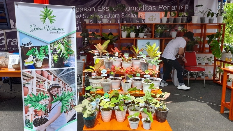 Keren! Pertanian Manado Ekspor 11 Ragam Komoditas Senilai Rp78,7 Miliar. (Foto: MNC Media)