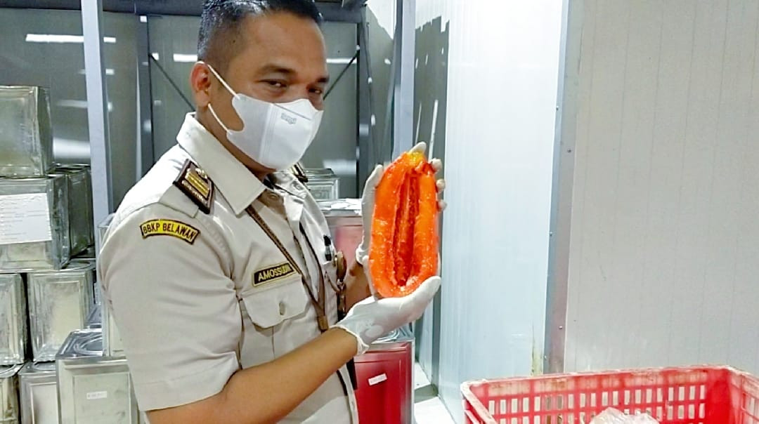 Jus Pepaya asal Sumut Ternyata Laku Keras di Vietnam (FOTO: MNC Media)